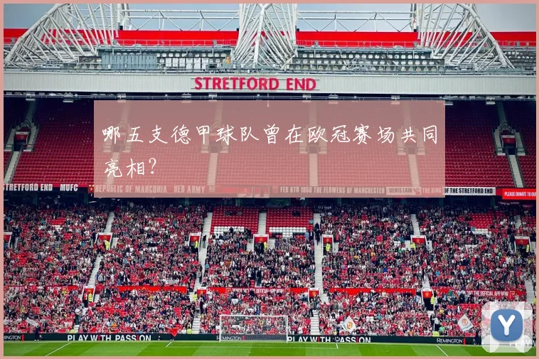 哪五支德甲球队曾在欧冠赛场共同亮相?