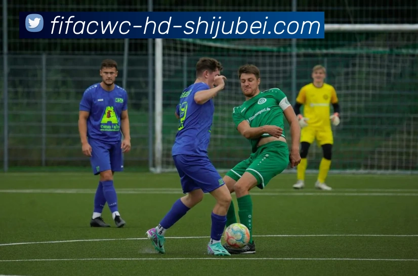 多媒体互动体验