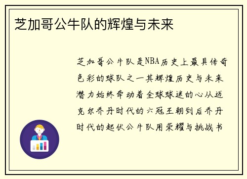 芝加哥公牛队的辉煌与未来