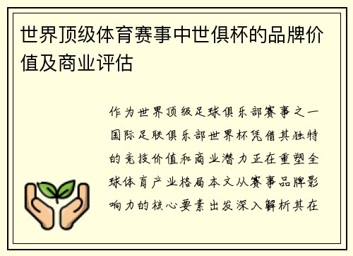 世界顶级体育赛事中世俱杯的品牌价值及商业评估